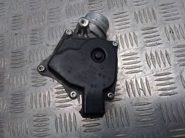 Nissan Qashqai Throttle valve 161A09794R