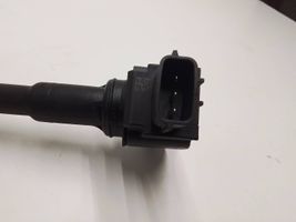 Nissan Qashqai High voltage ignition coil 224332428R