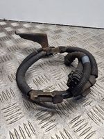 Nissan Qashqai Câblage / faisceau de câbles 