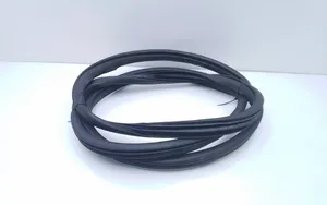 Honda CR-V Rear door rubber seal (on body) 