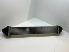 Mercedes-Benz B W245 Radiatore intercooler A1695000000