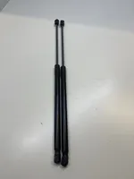 Ford Fiesta Tailgate strut H1BBA406A10AH