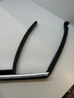 Mercedes-Benz C W205 Rivestimento modanatura del vetro della portiera posteriore A20573504