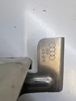 Audi A6 C7 Kita salono detalė 4G1819079
