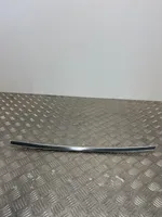 Jaguar XF X260 Door glass trim 