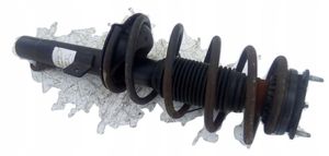 Ford Transit -  Tourneo Connect Rear shock absorber/damper 1561133789