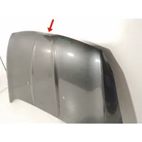 Ford Kuga II Engine bonnet/hood 