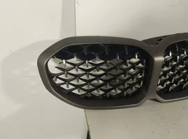 BMW 1 F40 Front grill 450961