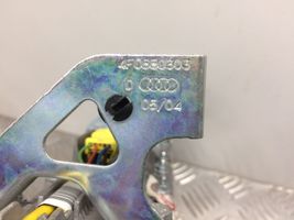 Audi A6 S6 C6 4F Keleivio oro pagalvė 4F2880204A