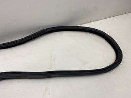 BMW 3 GT F34 Rear door rubber seal (on body) 