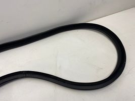 BMW 3 GT F34 Rear door rubber seal (on body) 