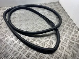 BMW M5 Front door rubber seal 7182270