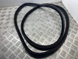 BMW M5 Front door rubber seal 7182270