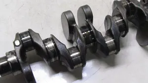 KIA Pro Cee'd II Crankshaft 