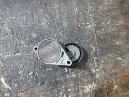 BMW 3 E46 Generator/alternator belt tensioner F-226008.2