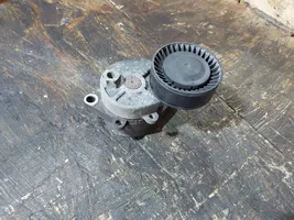 BMW 3 E46 Napinacz paska alternatora F-226008.2