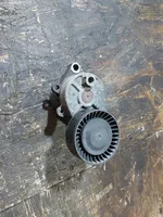 BMW 3 E46 Generator/alternator belt tensioner F-226008.2