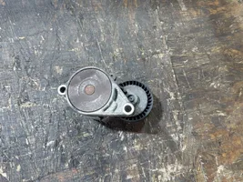 BMW 3 E46 Napinacz paska alternatora F-226008.2