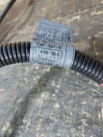 BMW 3 E46 Câble de batterie positif 1436548