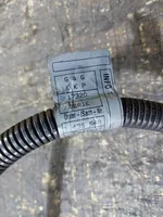 BMW 3 E46 Câble de batterie positif 1436548