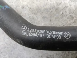 Mercedes-Benz E W213 Tubo flessibile del liquido di raffreddamento del motore A2058302802