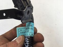 Hyundai i20 (BC3 BI3) Faisceau de fils d'injecteur de carburant 3534107250