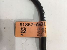 KIA Optima Cavo negativo messa a terra (batteria) 91857A8010