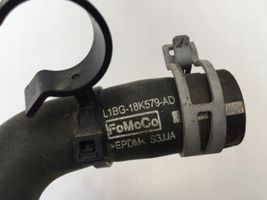 Ford Puma Tubo flessibile del liquido di raffreddamento del motore L1BG18K579AD