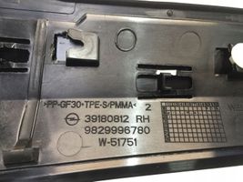 Opel Corsa F Muu takaoven verhoiluelementti 9829996780