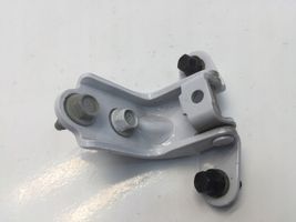 Hyundai Ioniq Rear door lower hinge 