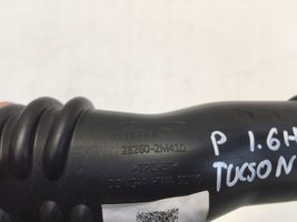 Hyundai Tucson IV NX4 Air intake hose/pipe 282602M410