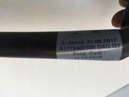 Mercedes-Benz B W247 Câble négatif masse batterie A1775402500
