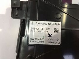 Mercedes-Benz E W238 Illuminazione sedili anteriori A2389009400