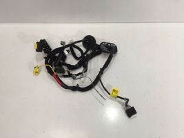 KIA Optima Cablaggio porta anteriore 91601A8410