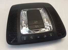 Mercedes-Benz GLA H247 Illuminazione sedili anteriori A0009001524