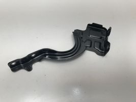 KIA Niro Engine bonnet/hood hinges ZAWIAS