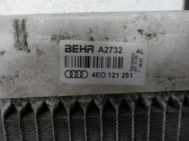 Audi A8 S8 D3 4E Jäähdyttimen lauhdutin (A/C) 4E0121251