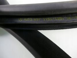 Mercedes-Benz CLK A209 C209 Front door rubber seal A2036971151