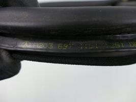 Mercedes-Benz CLK A209 C209 Priekinė sandarinimo guma ant kėbulo A2036971151