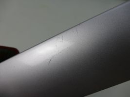 Mercedes-Benz SLK R170 Windshield trim 