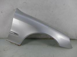 Mercedes-Benz S W220 Fender 