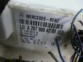 Mercedes-Benz E A207 Centralina/modulo tettuccio apribile A2079004200