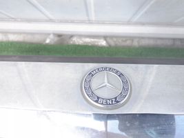 Mercedes-Benz S W222 Paraurti anteriore 