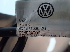 Volkswagen PASSAT B7 Minus / Klema / Przewód akumulatora 5Q0971230CG