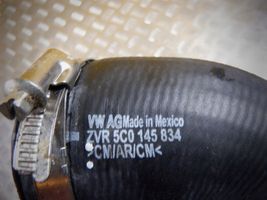 Volkswagen Beetle A5 Air intake hose/pipe 5C0145834