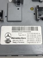 Mercedes-Benz S W222 Modulo comfort/convenienza A2229006014