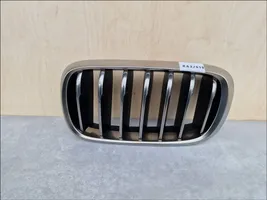 BMW X6 F16 Front grill 51137349387