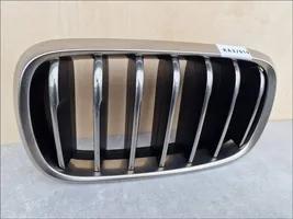 BMW X6 F16 Front grill 51137349387