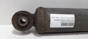 Opel Antara Rear shock absorber with coil spring 