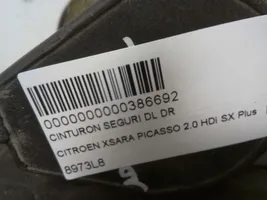 Citroen Xsara Picasso Cintura di sicurezza anteriore 8973L8